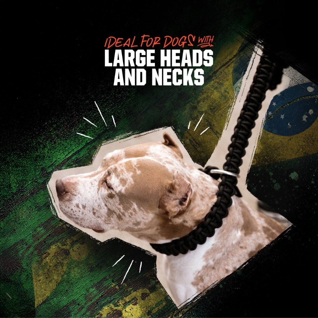 Power Leash Brazil - Green