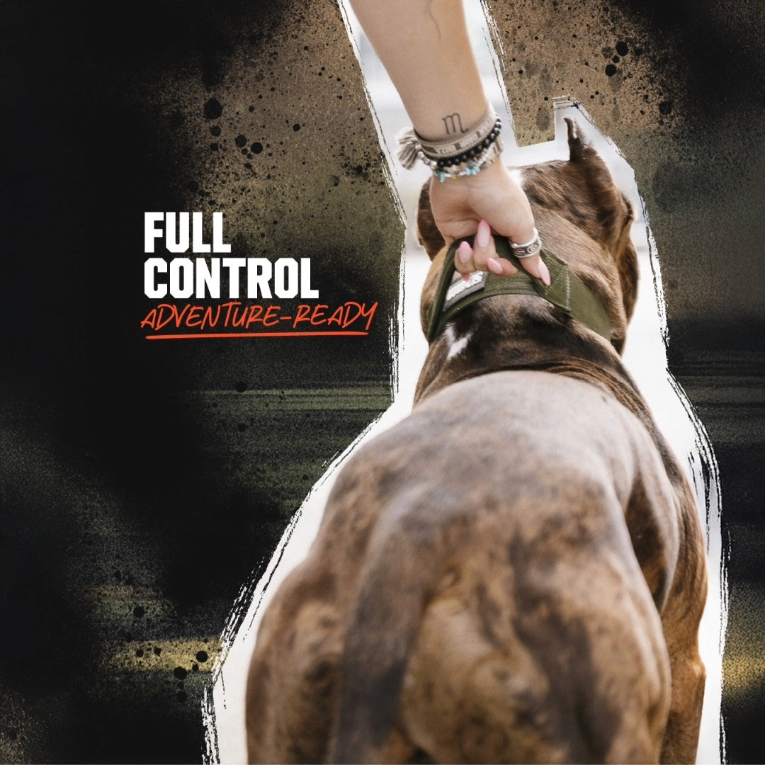 Reaper Collar - Black