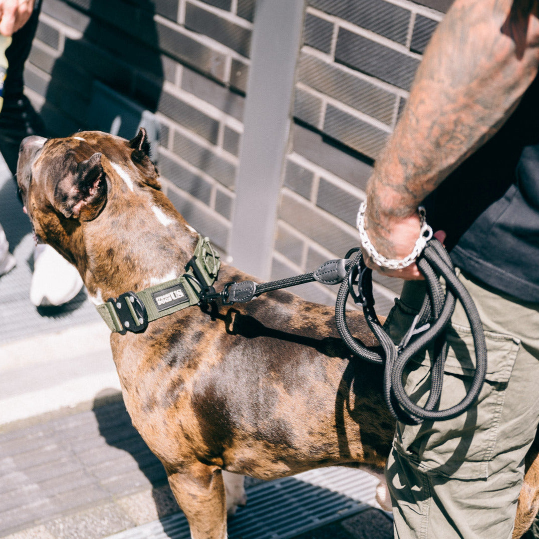 Blade Collar - Green