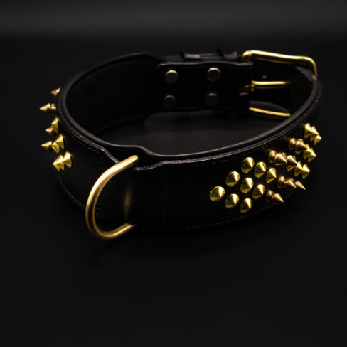 Schwarzes Lederhalsband für Hunde mit goldenen, unterschiedlich geformten Spikes – Modell Sam von Strong Dogs U.S. in Frontalansicht.