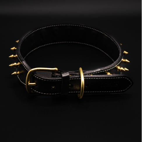 Seitliche Perspektive des Bandit-Halsbands von Strong Dogs U.S. – markant, robust und mit goldenen Nieten besetzt.