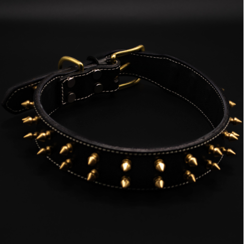Breites, schwarzes Hundehalsband mit goldenen Spikes von Strong Dogs U.S., aus robustem Leder mit markanter Ziernaht und massiver Metallschnalle – perfekt für starke Hunde mit Charakter.