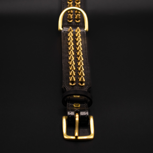 Nahaufnahme der goldenen Spikes des Shayla-Halsbands mit Fokus auf die Metallverarbeitung und den goldenen D-Ring.
