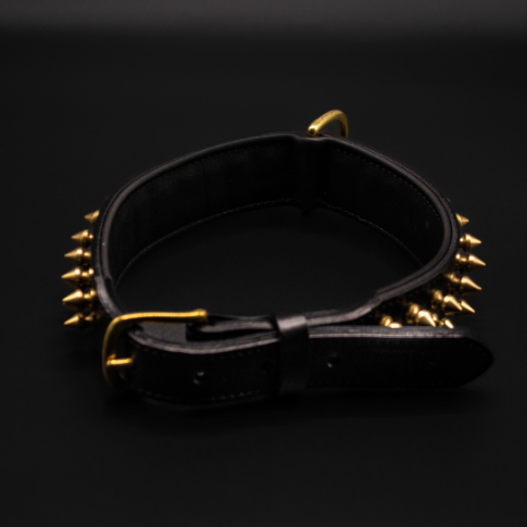 Seitliche Ansicht des Shayla-Halsbands von Strong Dogs U.S. mit gleichmäßig platzierten goldfarbenen Kegelspikes.