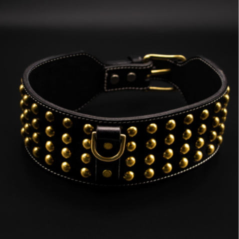 Schwarzes Leder-Hundehalsband mit breitem Design und goldenen Rundnieten – Modell Tyson von Strong Dogs U.S. in Frontalansicht.
