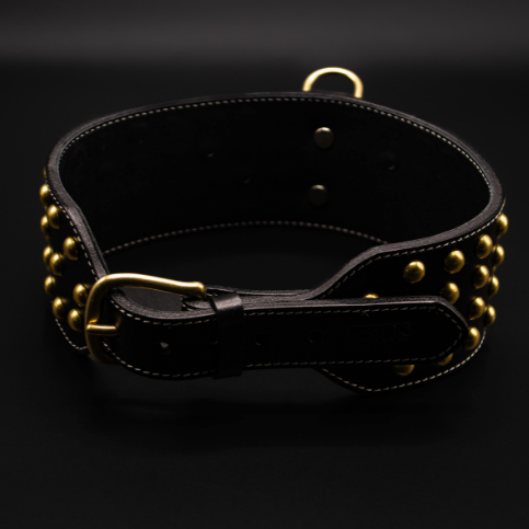 Seitenansicht des Tyson-Halsbands von Strong Dogs U.S. mit goldenen Nieten, stabiler D-Ring-Öse und massiver Metallschnalle.