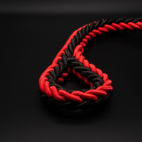 Basic-Paracord-Set in Rot-Schwarz mit Halsband und Leine, handgeflochten und mit robuster Metallverbindung – Seitenansicht.