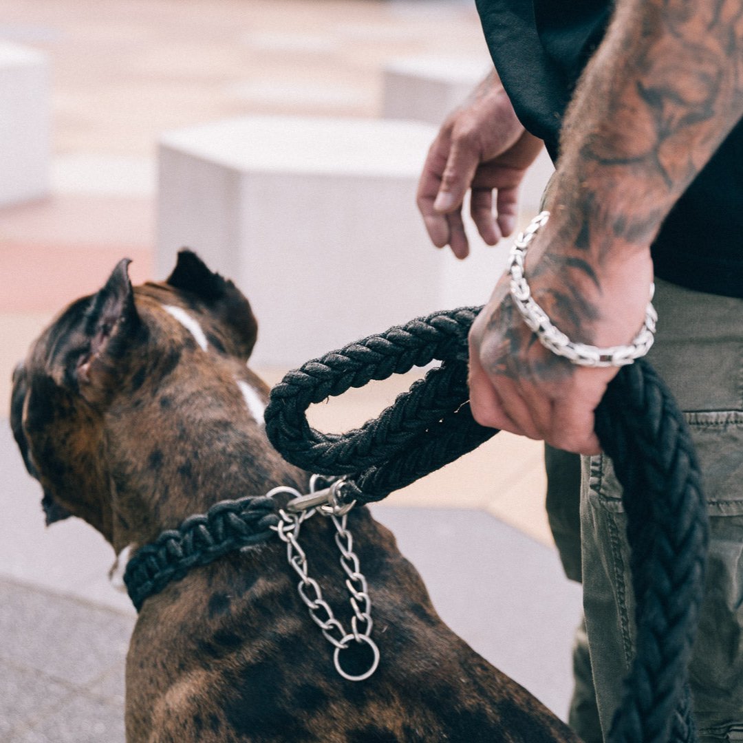 Geflochtene Power Leash Diamond in Schwarz von Strong Dogs U.S. am muskulösen Hund mit Kettengliedern geführt – tätowierter Hundeführer mit silbernem Armband in urbaner Umgebung.