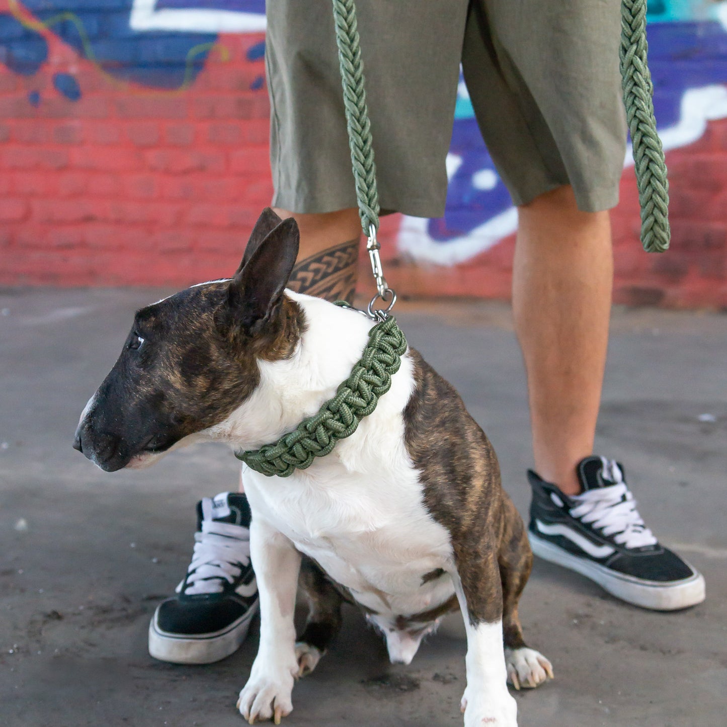 Power Leash Basic - Grün - StrongDogs U.S.