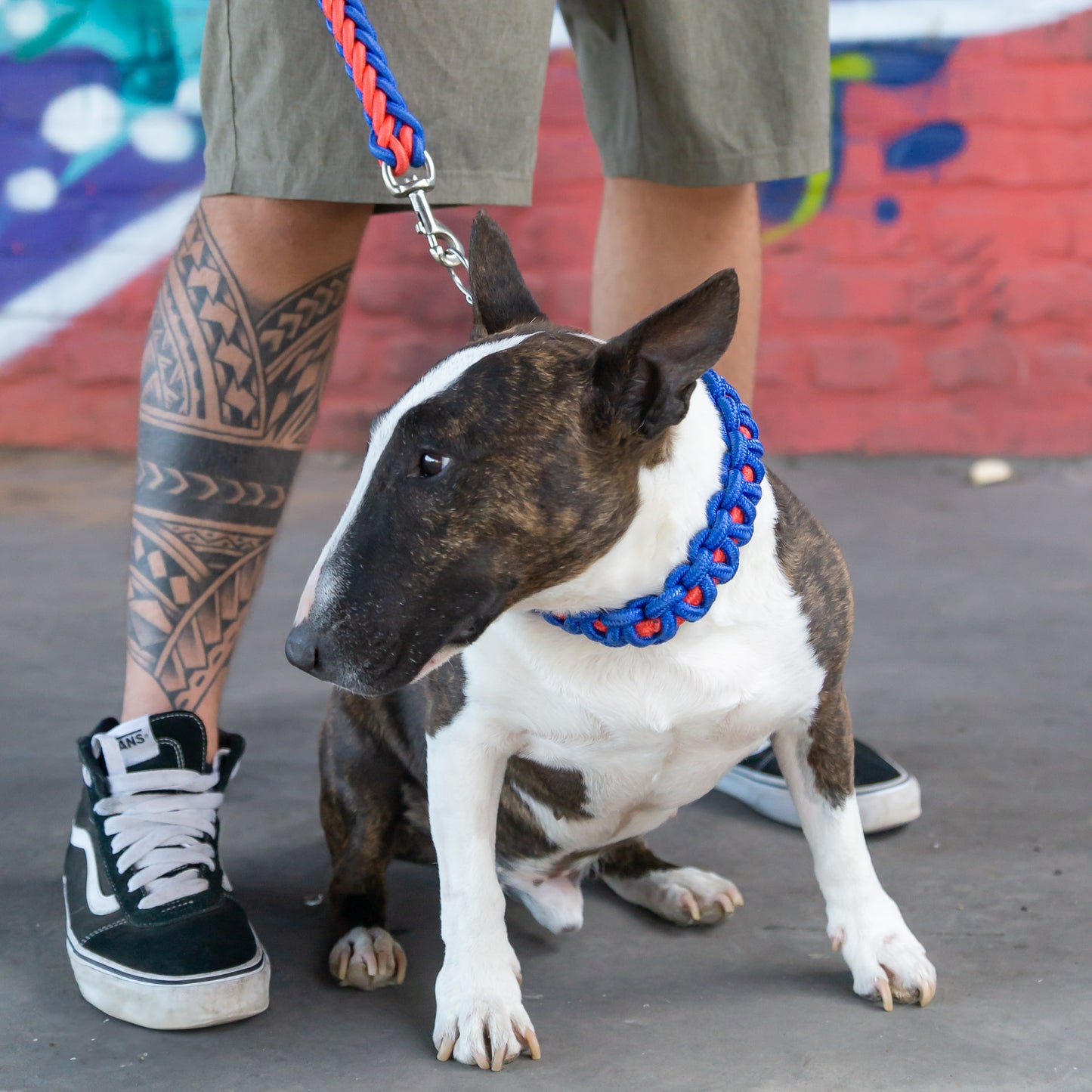 Power Leash Basic - Rot Blau - StrongDogs U.S.