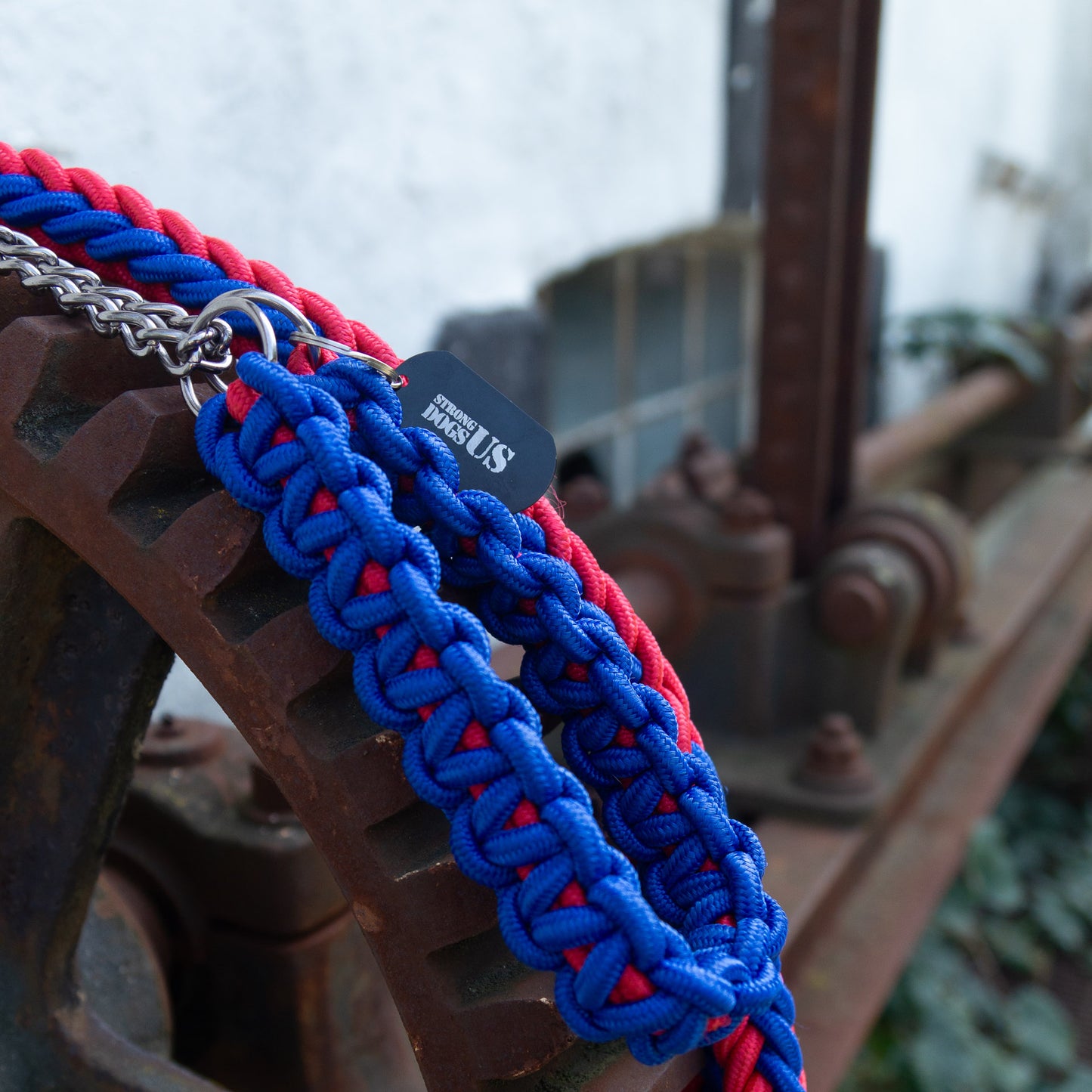 Power Leash Basic - Rot Blau - StrongDogs U.S.