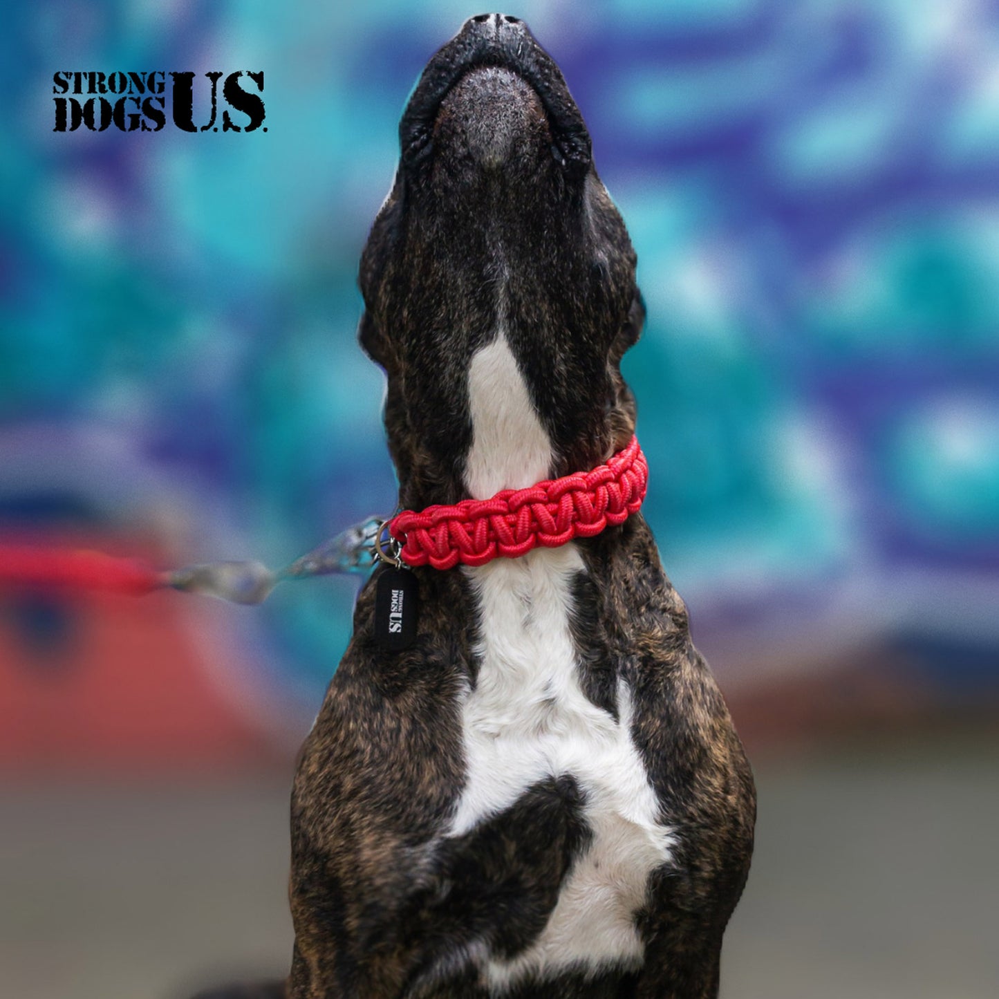Power Leash Basic - Rot - StrongDogs U.S.