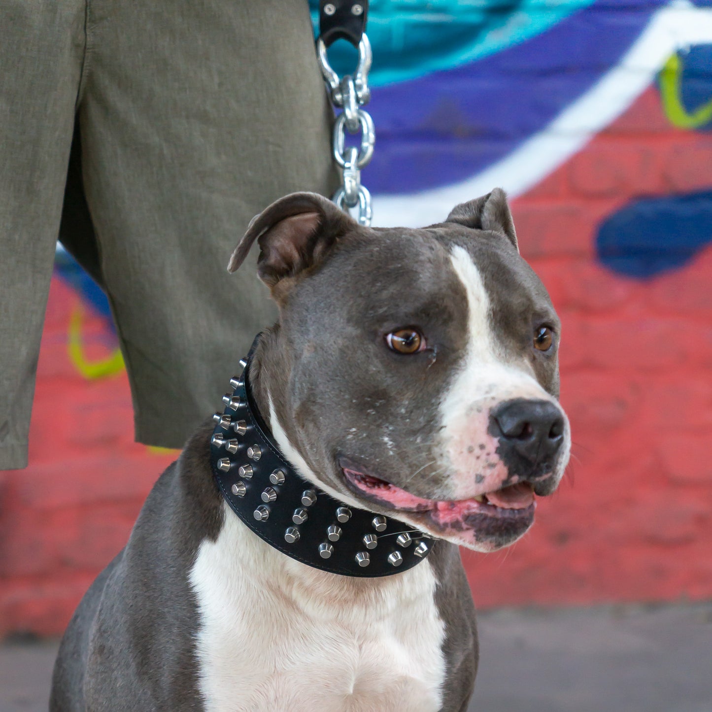 Leder Halsband Django - StrongDogs U.S.
