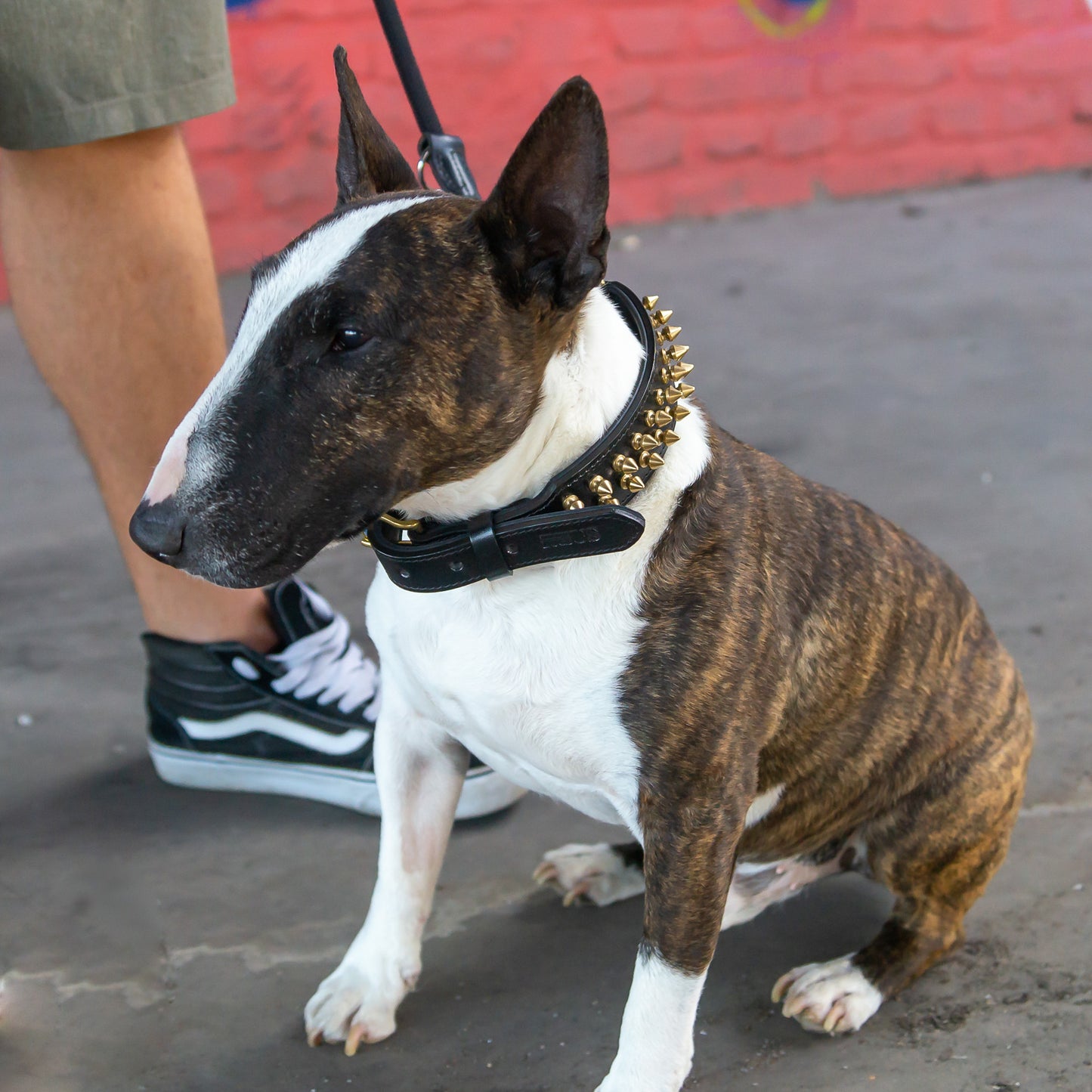 Leather Collar Shayla