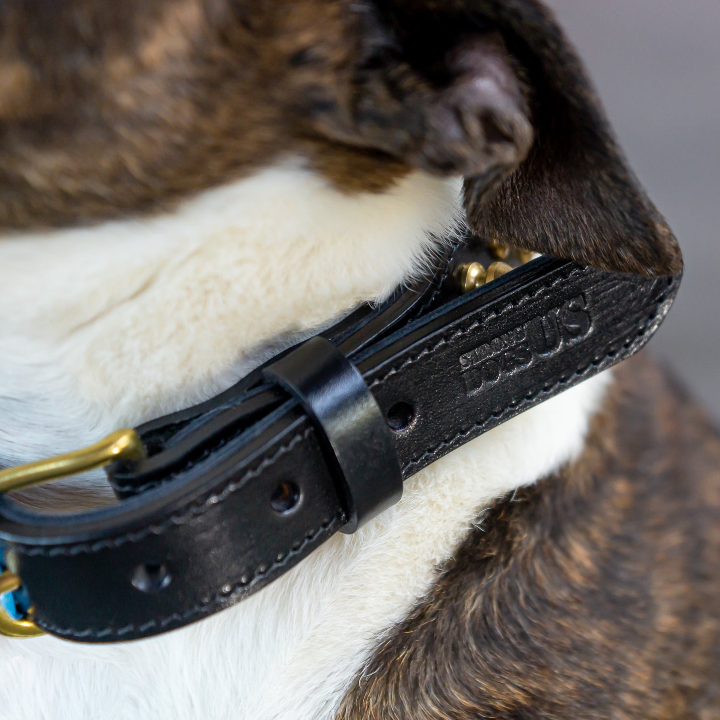Leather Collar Shayla