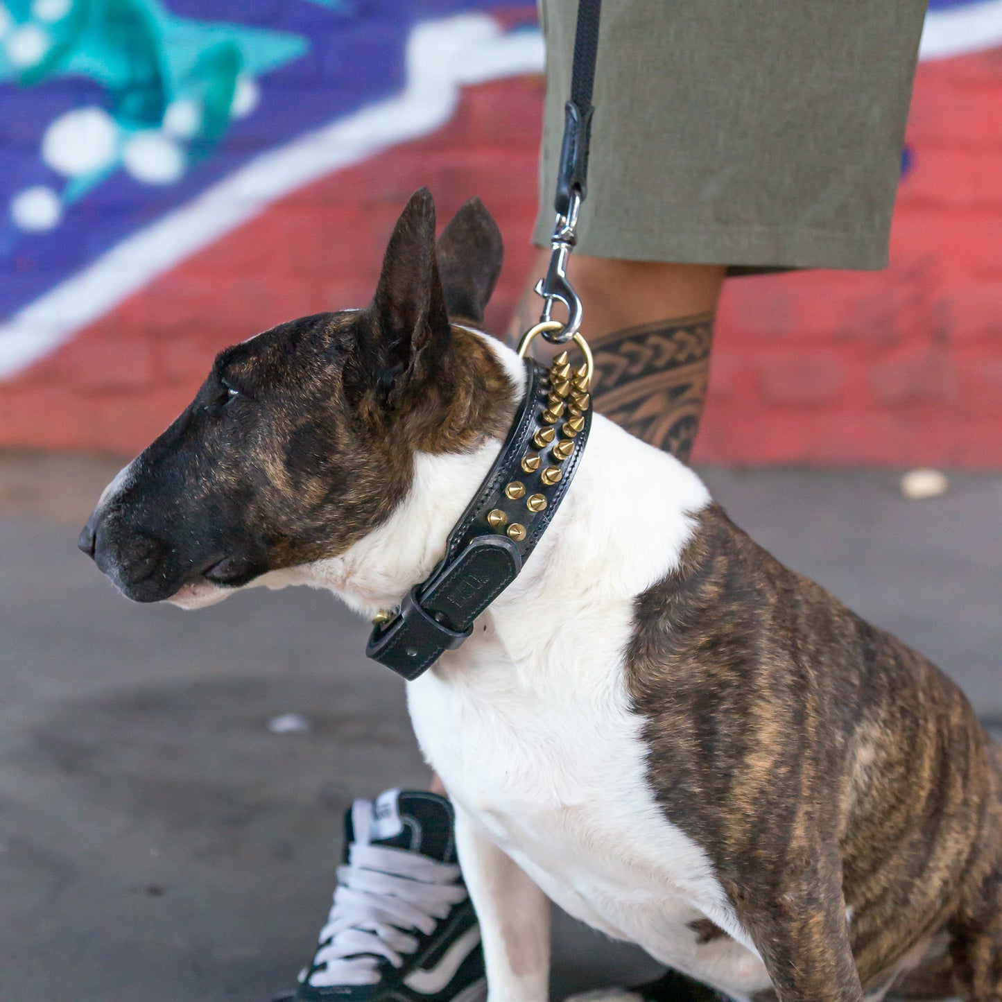 Leather Collar Shayla