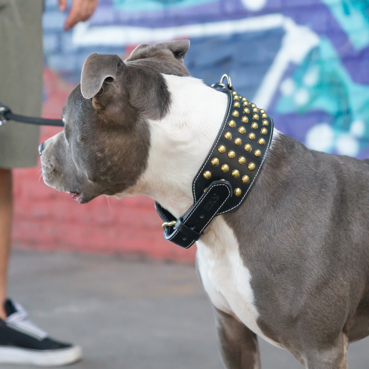 Leder Halsband Tyson - StrongDogs U.S.