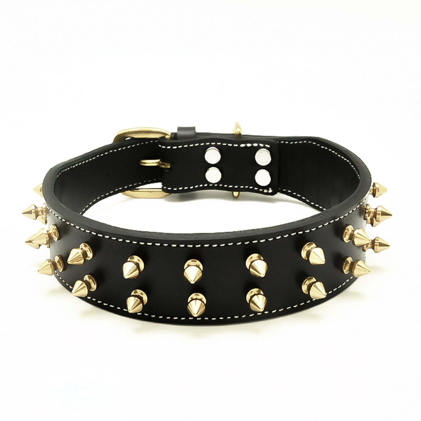 Leder Halsband Bandit