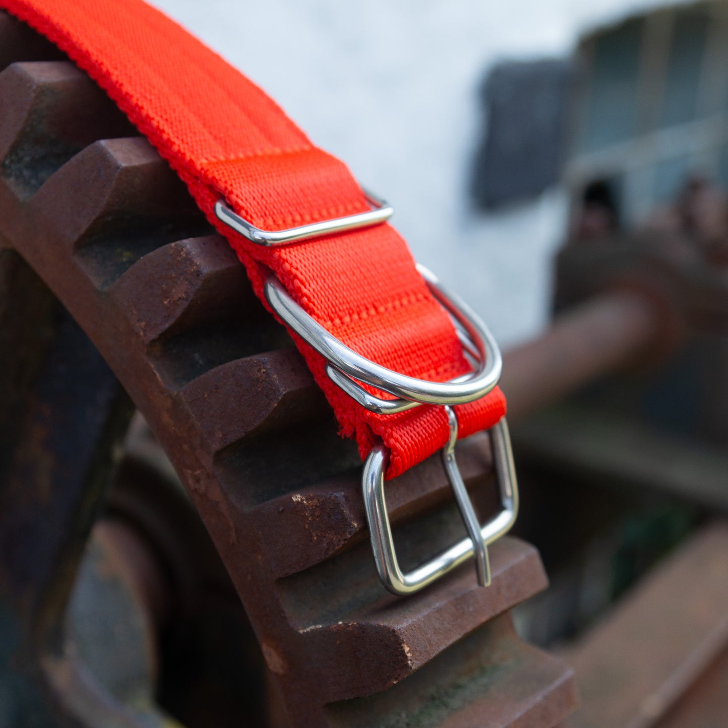 Halsband Duke - Rot - StrongDogs U.S.
