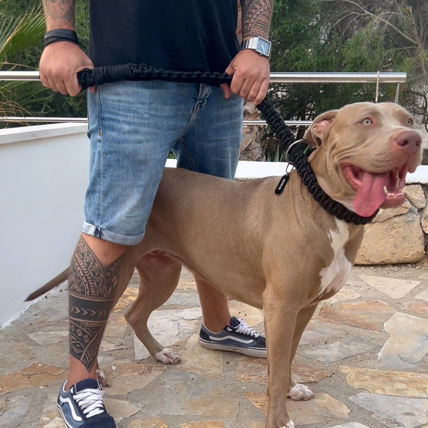 PowerLeash Brazil Round - Silber