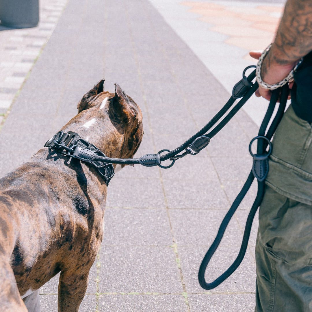 Führleine Predator - Schwarz - StrongDogs U.S.