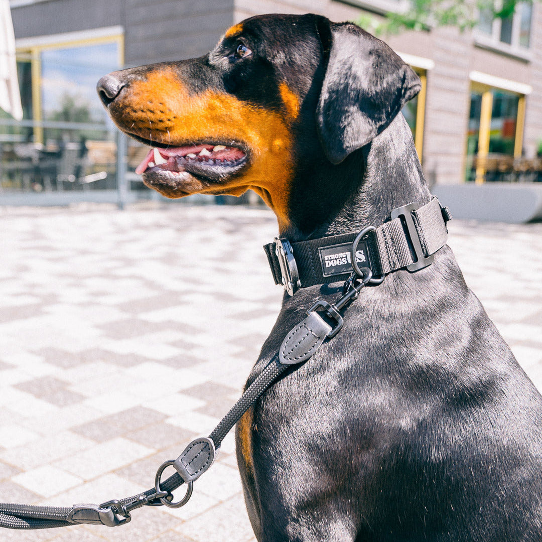 Führleine Predator - schwarz- StrongDogs U.S.
