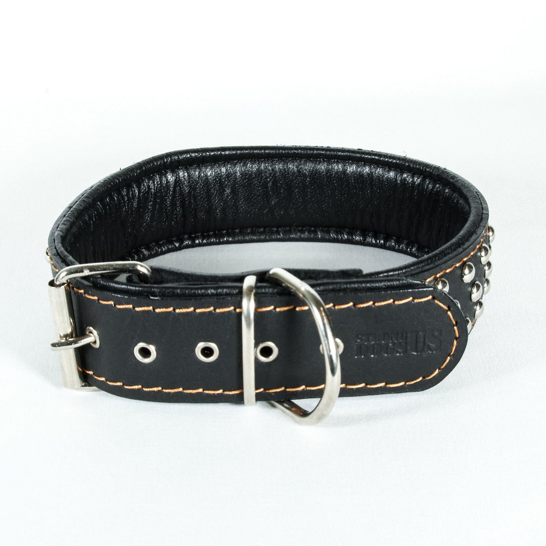 Lederleinen Set Scorpion - Schwarz - StrongDogs U.S.