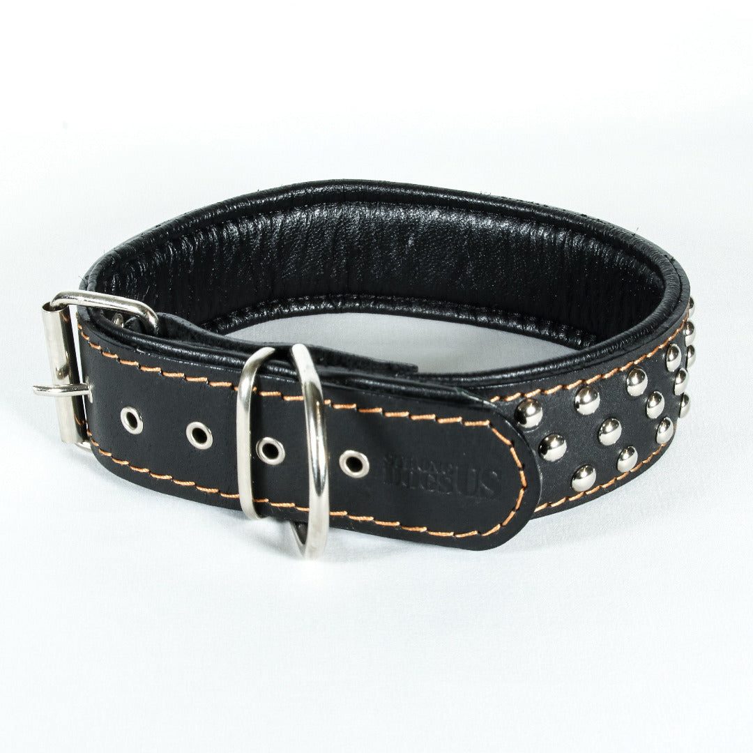 Lederleinen Set Scorpion - Schwarz - StrongDogs U.S.