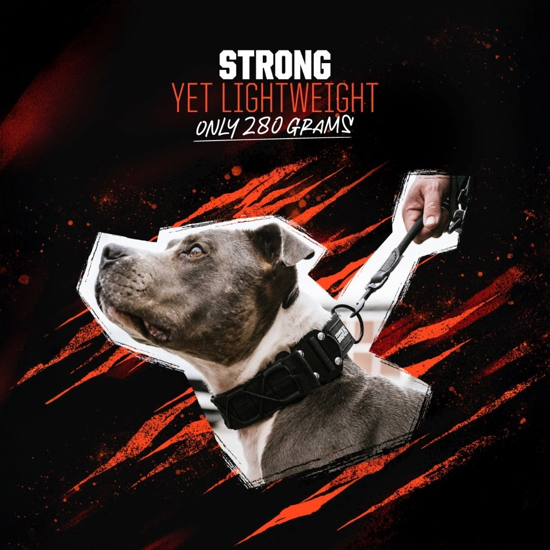 Blade + Predator Set - Black