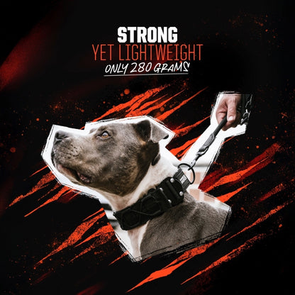 Blade + Predator Set - Black