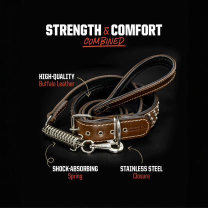 Leather Leash Set Scorpion - Brown