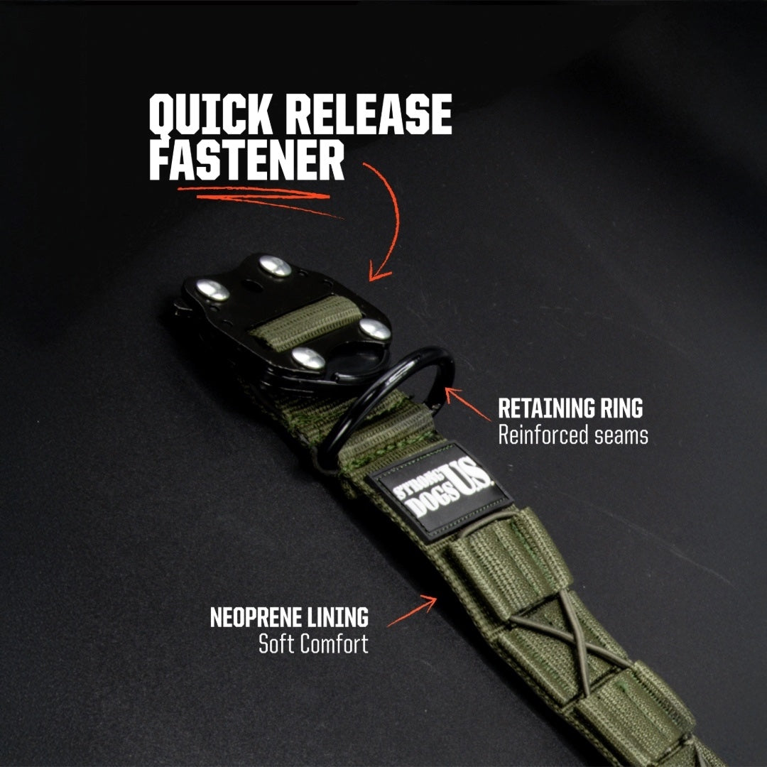 Blade Collar - Green