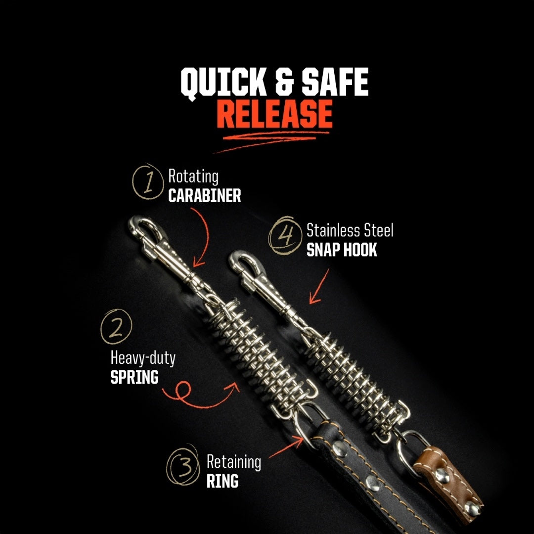 Leather Leash Set Scorpion - Brown