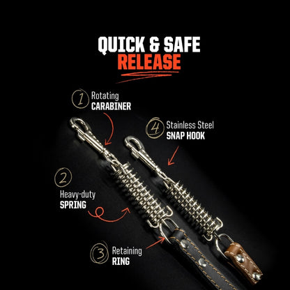 Leather Leash Set Scorpion - Brown