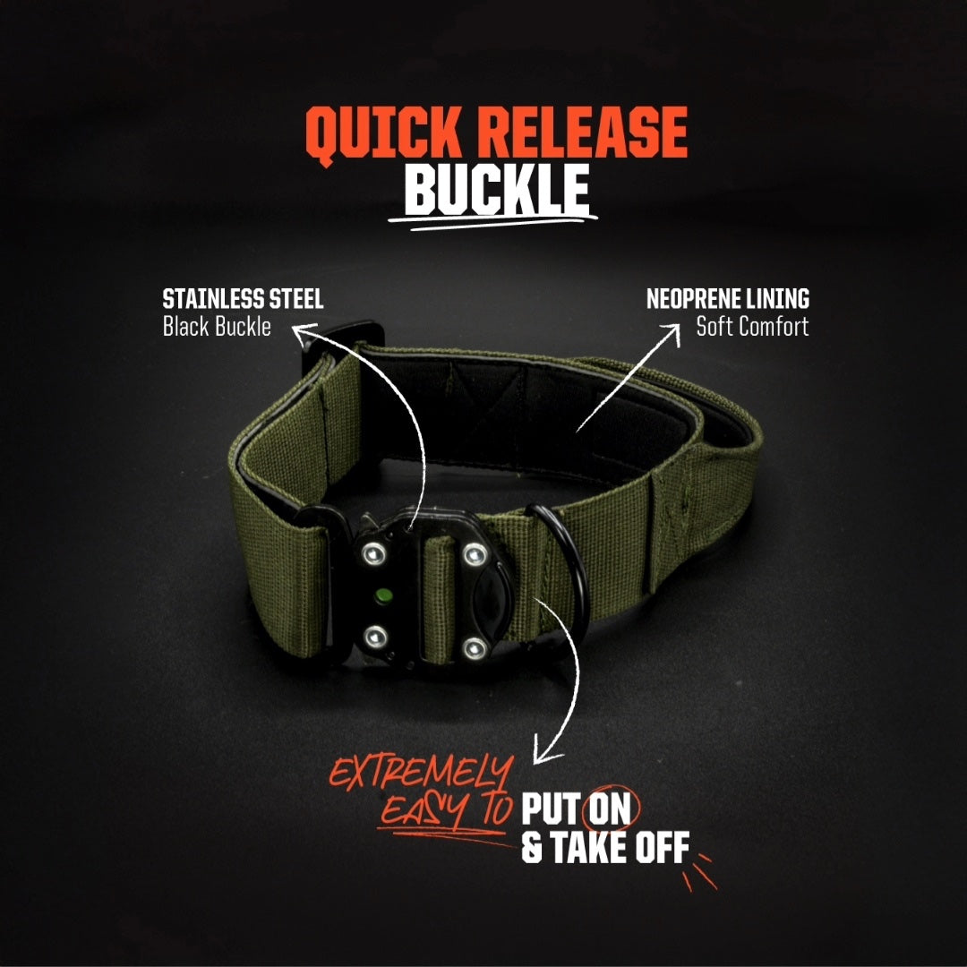 Reaper Collar  - Green