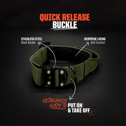 Reaper Collar  - Green