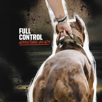 Reaper Collar  - Green