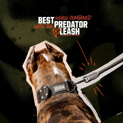 Blade Collar - Green