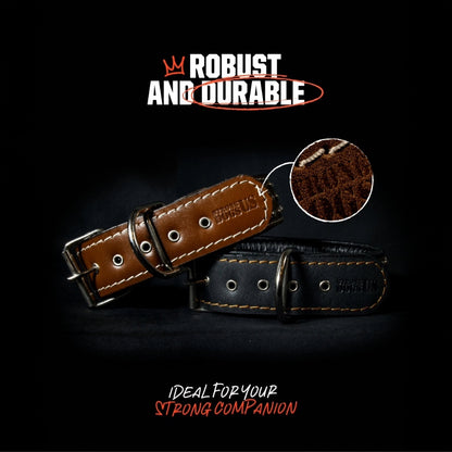 Leather Leash Set Scorpion - Brown