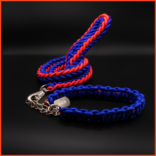 Power Leash Basic Rot-Blau