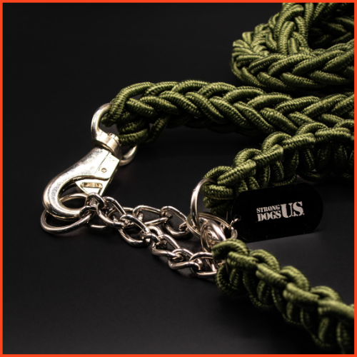 Power Leash Basic Grün