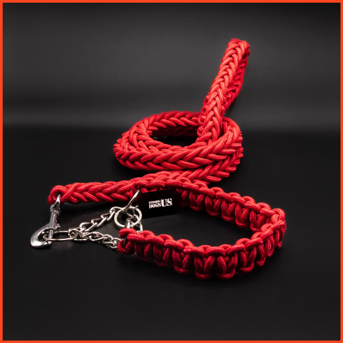 Power Leash Basic Rot