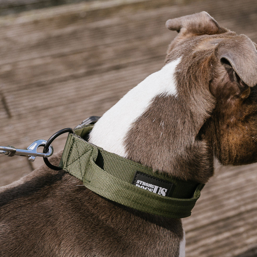 Reaper Collar - Black