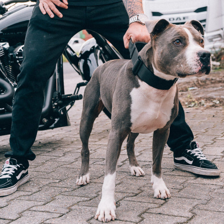 Reaper Collar - Black