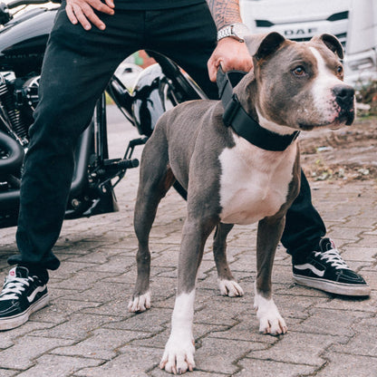 Reaper Collar - Black