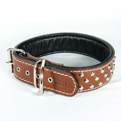Leather Leash Set Scorpion - Brown
