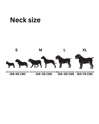 Power Leash Set 2.0 Grün