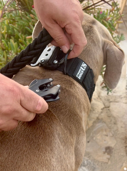Power Leash Swift - Silber