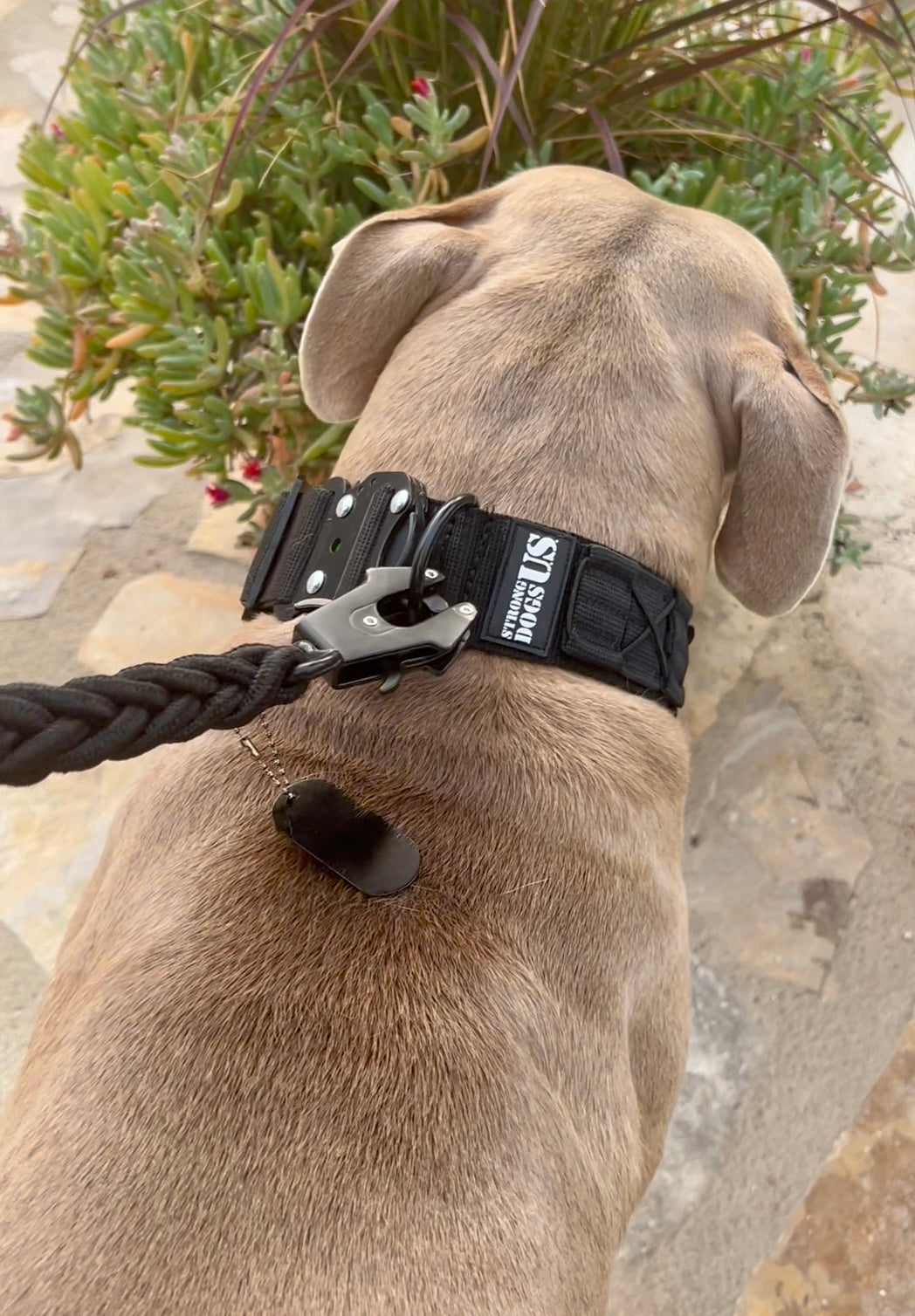 Power Leash Swift - Silber