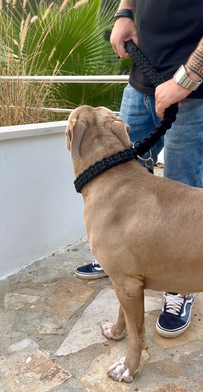 Power Leash Brazil Round - Gold